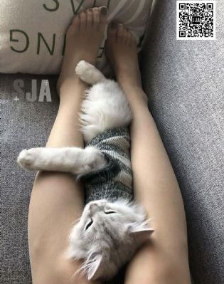 看片网站av_HD电影在线观看